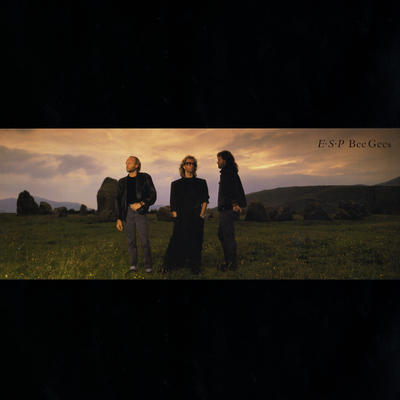 You Win Again - Bee Gees