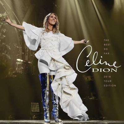 Because You Loved Me - Celine Dion