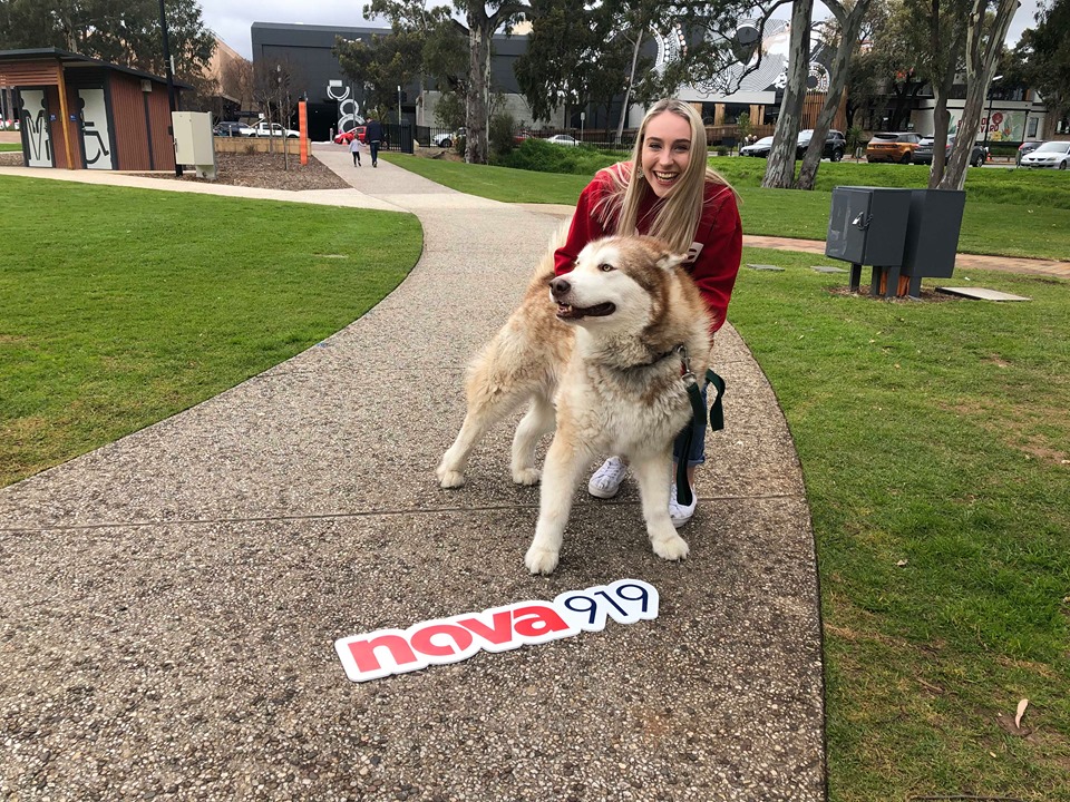 Casanovas @ Tea Tree Gully & Modbury 28.08.19 | Nova 919