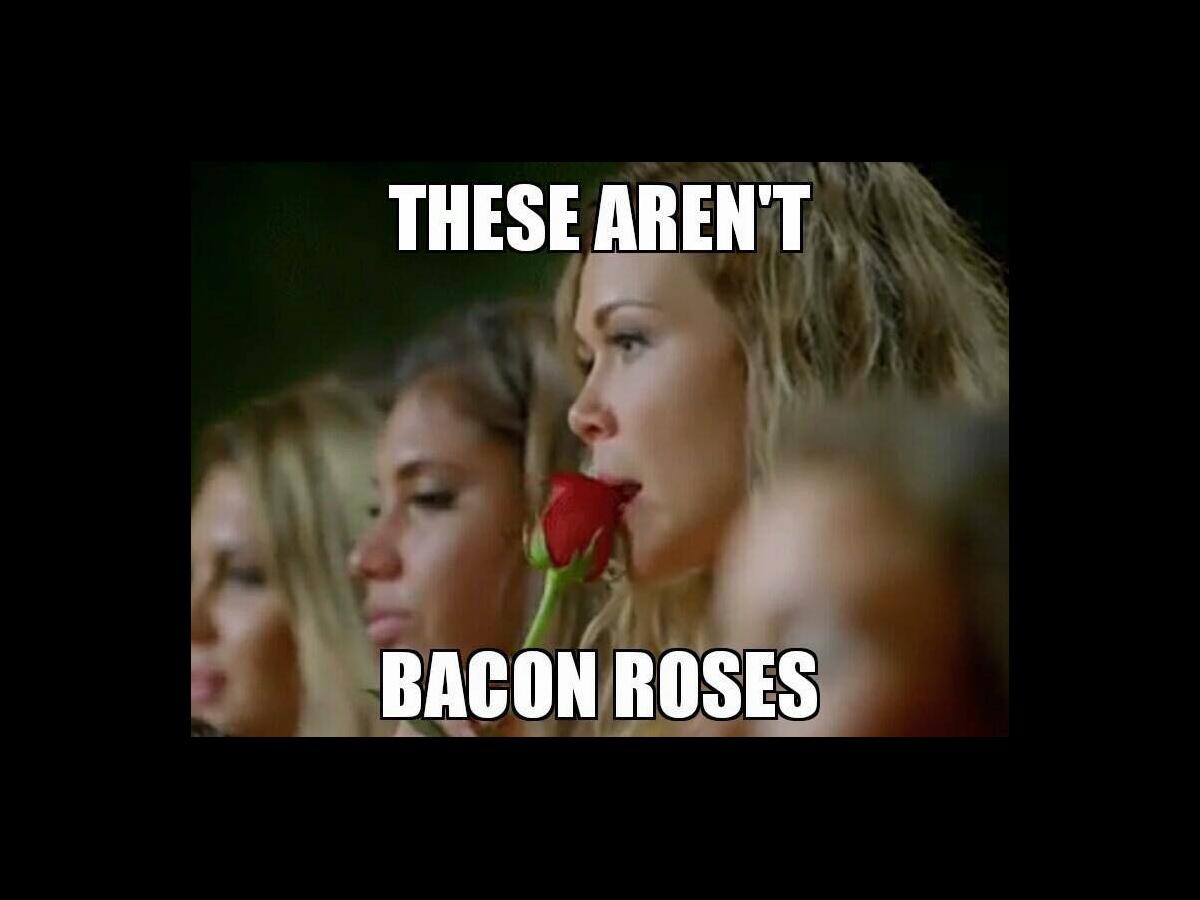 The Bachelor memes that are currently slaying the Nova 100