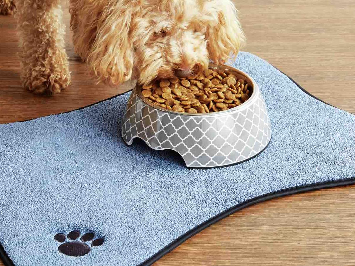 Aldi's new pet range just landed and it's GLORIOUS Nova 969