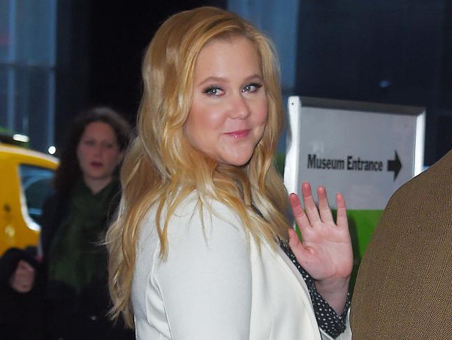 Amy Schumer Spreads Legs In Celebration Of 'national Bikini Day' 