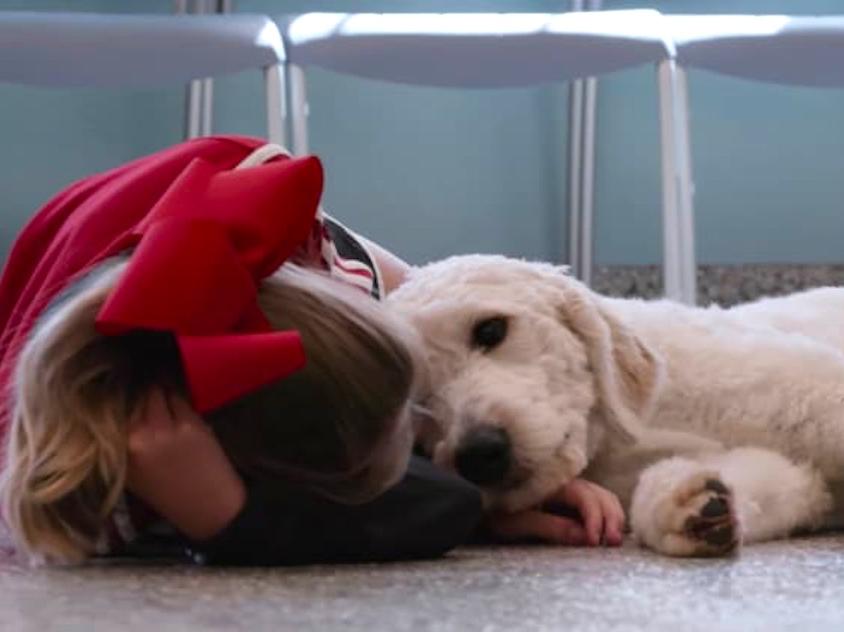 A dog documentary is coming to Netflix so get ready to piss tears