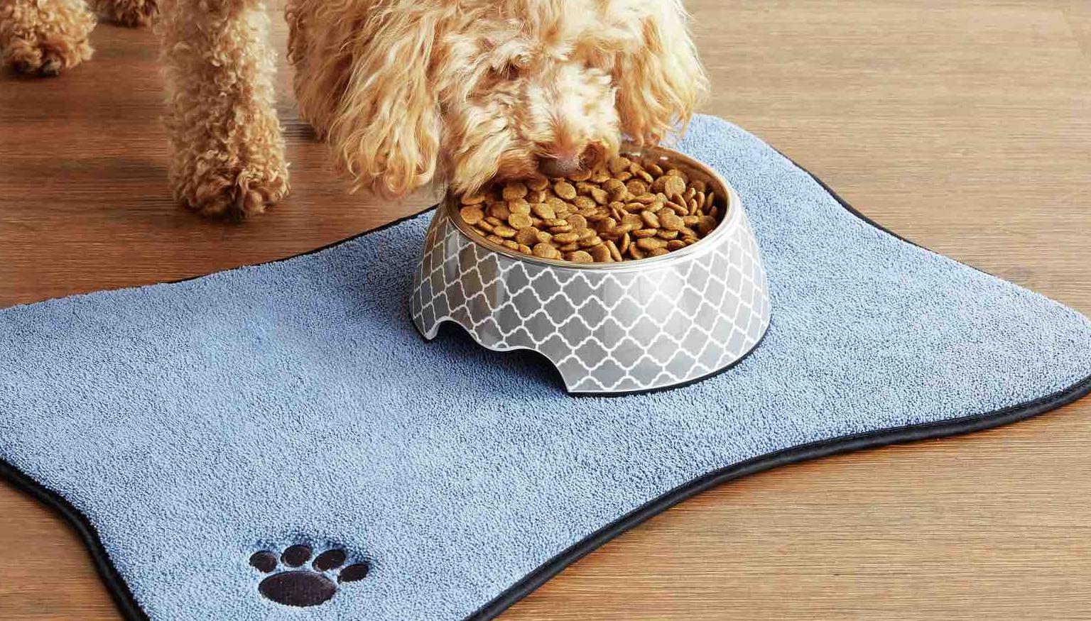 Aldi's new pet range just landed and it's GLORIOUS Nova 969