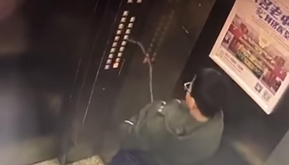 Boy pees on elevator buttons causing it to stop | Nova 100