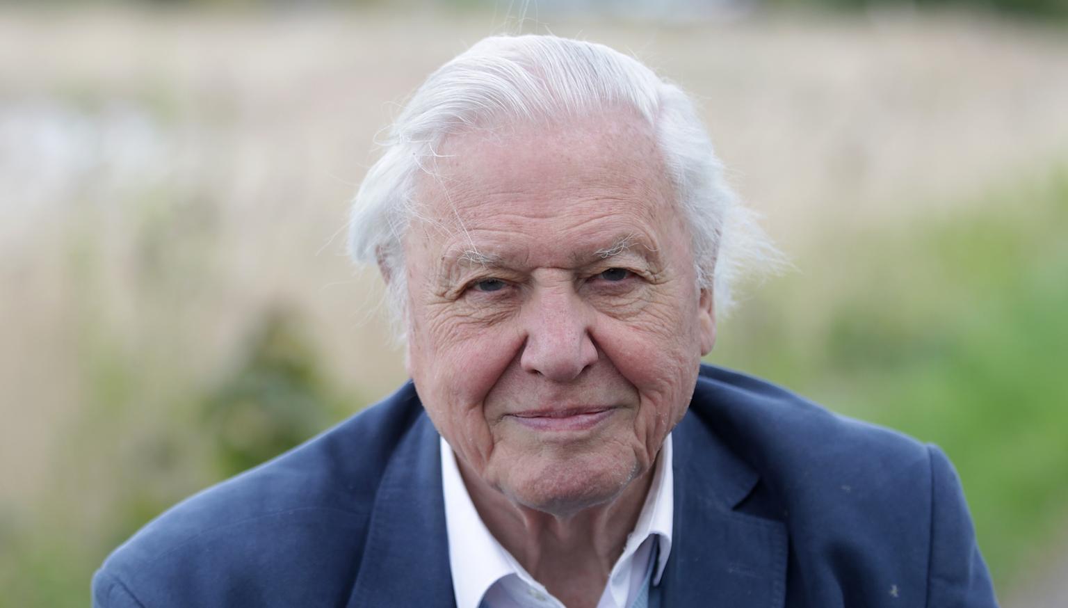 Sir David Attenborough Is Coming To Sydney Nova 969   Davidatt 