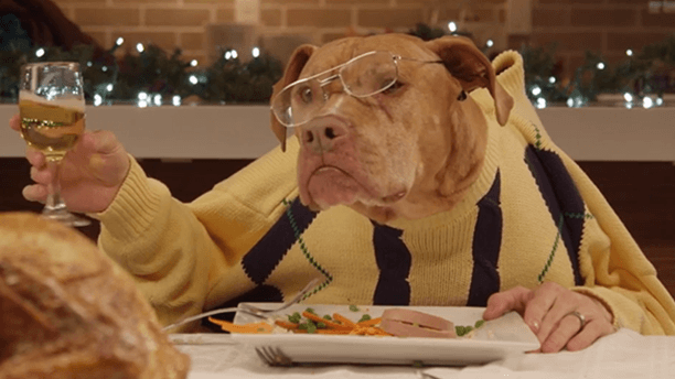 K Cat Food Commercial K Cat Food Commercial