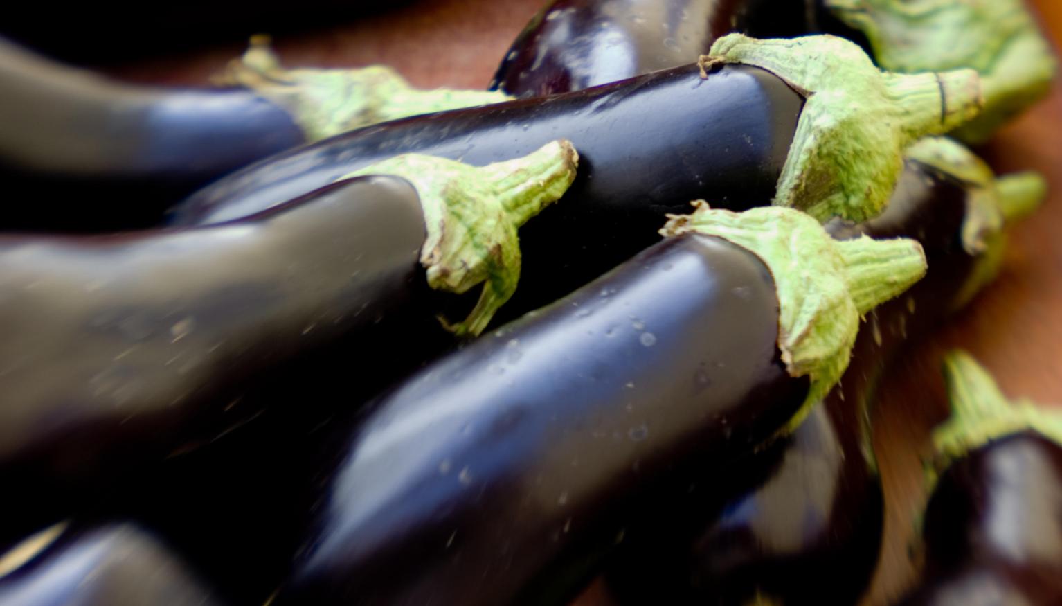 MYSTERY SOLVED Why Are They Called eggplants Nova 100
