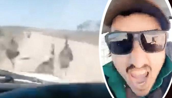Man charged over alleged emu death video in Victorian town of Ouyen