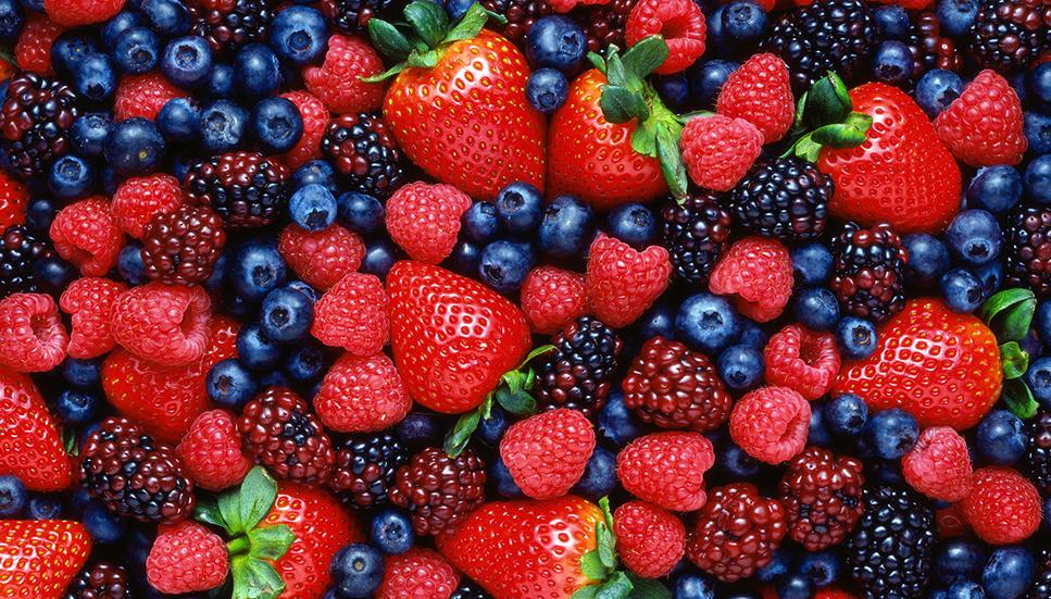 Massive recall on mixed frozen berries across Australia  Nova 100