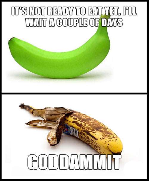 why do dogs turn their heads this trick turns your dead banana yellow again 919 why do dogs turn their heads this trick turns your dead banana yellow again 919