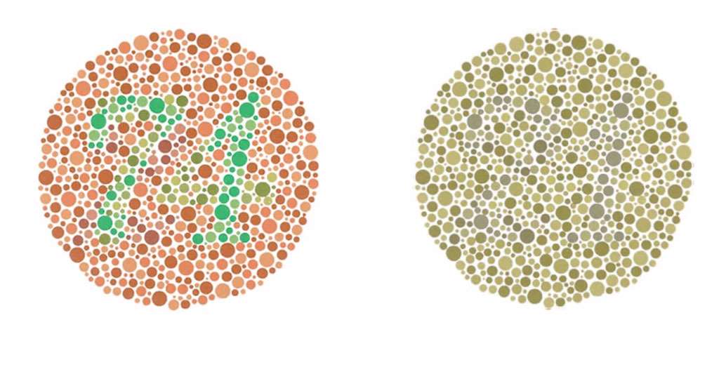 What it's like to be colourblind | FIVEaa