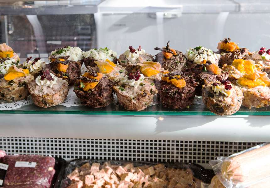 Melbourne S Dog Caf 233 Is Now Open For Business And It S