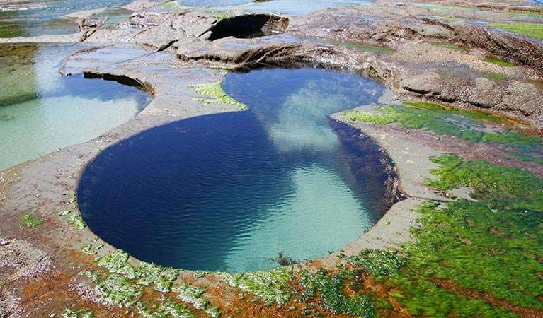 Spa Pools South Island Spa Pools South Island