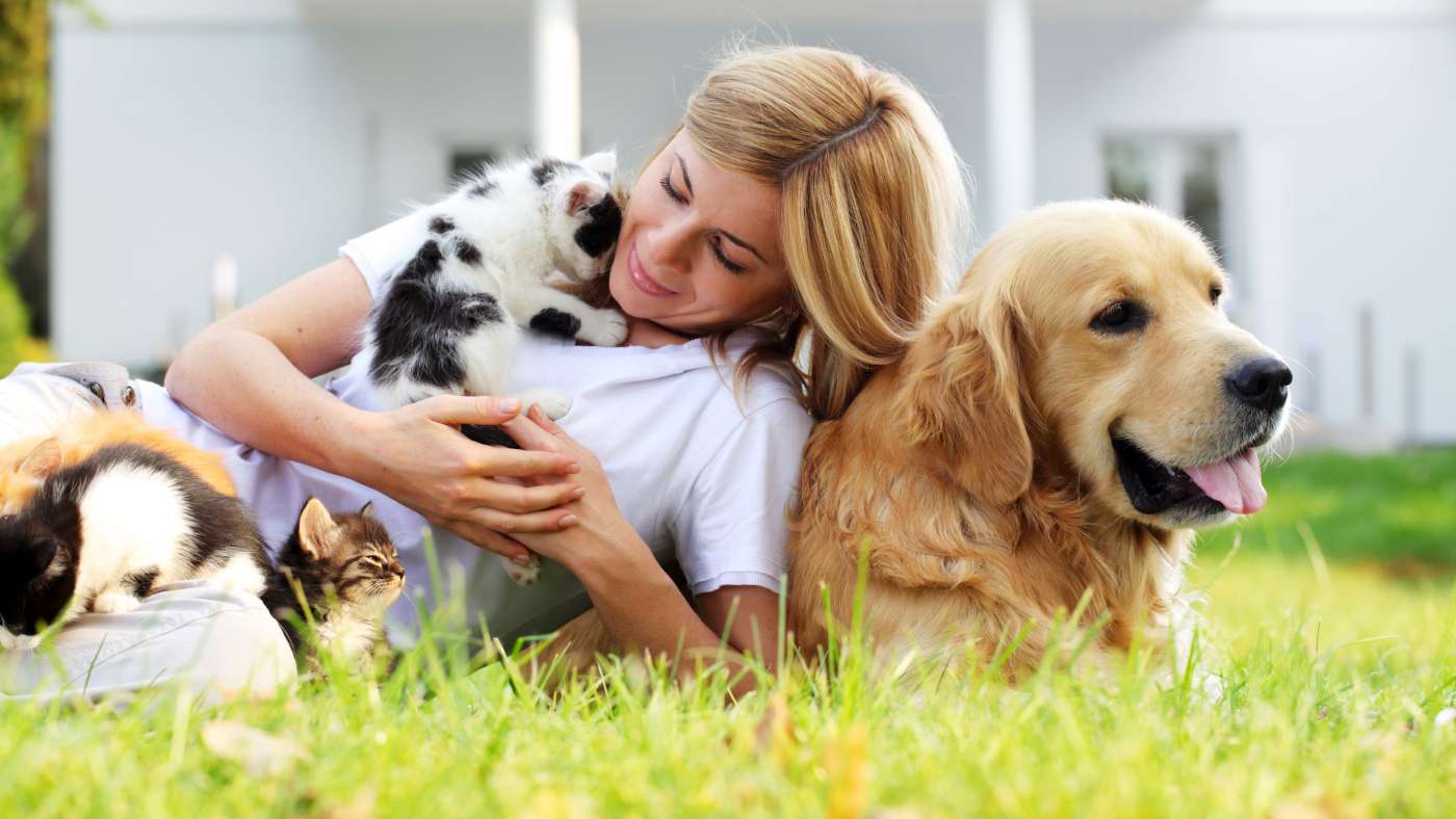 babysit a dog